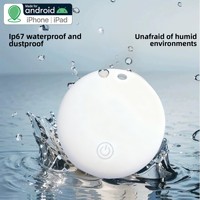 Traceur GPS universel FindTag pour animaux de compagnie, compatible Android/iOS, avec cordon porte-clés, autonomie ultra-longue, positionnement précis, idéal pour prévenir la perte chez les personnes âgées