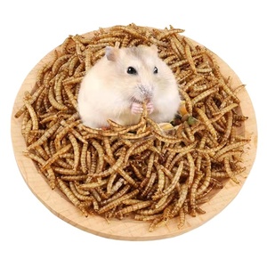 Akvaryum balıkları için süs balığı yem sucul böcek Mealworms kurutulmuş hayvan yemi - Product Image 1