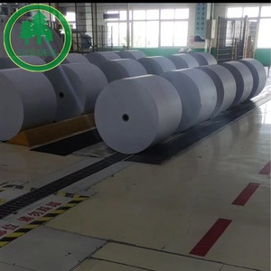 Cartón ecológico FBB C1S color marfil para envasado de alimentos congelados y producción de bandejas de papel - Product Image 5