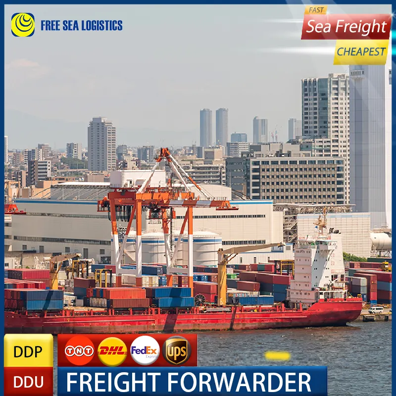 shipping forwarder agent from shenzhen to san juan full container sea freight