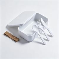 Boîte à lunch en plastique PP 1000 ml, grande capacité, boîte bento réutilisable, récipient de stockage alimentaire pour le camping en plein air, le bureau, l'école, vente en gros