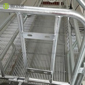 Peralatan lantai tri-bar dan tri-bar dan v-bar baru yang dijual dari pabrik peralatan pertanian babi - Product Image 5