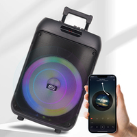Sing-E ZQS12148 2024 Nouveau haut-parleur karaoké portable de 12 pouces 40W RGB avec deux microphones UHF sans fil pour une utilisation facile