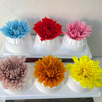 Natuurlijk geconserveerd Dahia-gaaswerk, echte gedroogde bloemdecoratie voor tafelarrangementen, herdenkingsceremonie, huisdecoratie