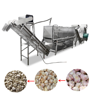 Ligne de production automatique de pâte d'ail/ligne de production électrique de pâte d'ail/machine à éplucher l'ail et production de séchage d'ail - Product Image 6