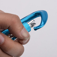 Mousqueton en aluminium à petite porte à vis 12KN de haute qualité pour l'extérieur
