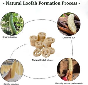 Tranches de Loofah Naturelles, Savons Artisanaux au Loofah Faits Maison, Jouets Naturels en Loofah pour Animaux de Compagnie en Gros - Product Image 2