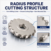 Fraise à rayonner en carbure, fraise à arrondir les coins, fraise latérale à pointe brasée, taille personnalisée pour l'usinage CNC des métaux