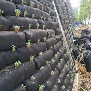 Sacs géotextiles non tissés Sac <span class=keywords><strong>de</strong></span> sable pour <span class=keywords><strong>mur</strong></span> <span class=keywords><strong>de</strong></span> soutènement Géotextiles non tissés - Product Image 6