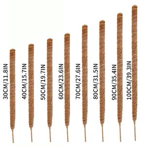 Support pour plante Monstera en mousse de coco, biodégradable, écologique, avec trou de drainage, design minimaliste pour intérieur/extérieur - Product Image 1