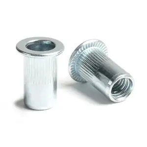 Customizable Zinc-Plated M8*18 Through-Hole Cylindrical Nut Pull Rivet Flat Head Post Plastic Screws