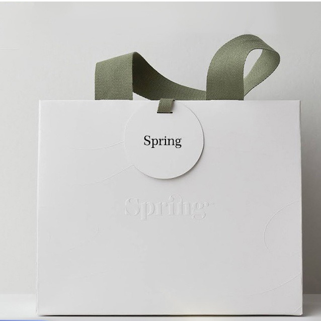 Customized logo Design Luxury Paper Bag Gift Packaging Bag Shopping Paper Bag with Ribbon Handle