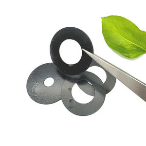 Precio barato Arandela personalizada-Electroforesis Arandela de electroforesis de acero al carbono de alta resistencia negra - Product Image 1