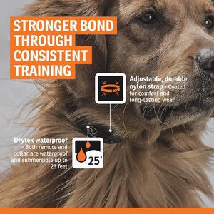 ระบบรั้วไฟฟ้าฝังพื้น SportDOG พร้อมปลอกคอแบบชาร์จได้ มีเสียงสั่นและไฟฟ้าสถิต อุปกรณ์ฝึกสัตว์เลี้ยง - Product Image 5