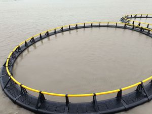 กระชังเลี้ยงปลา HDPE แบบลอยน้ำ: คุณประโยชน์ ราคา และความสามารถในการเลี้ยงปลาเป็นอย่างไร? - Product Image 5