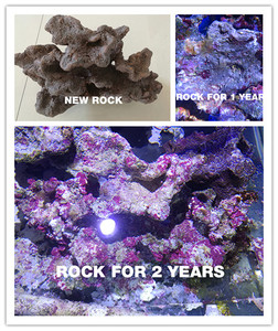 BR-N. S scogli Bio-attivi in ceramica per la casa dei batteri dell'acquario materiale filtrante per la vita all'aperto mostra migliori rocce dal vivo - Product Image 3