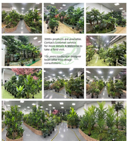 Bonsái Artificial de Cycas de Primera Calidad, Resistente al Agua, Simulación de Palmera Sago de Lujo, Decoración de Interiores para Centros Comerciales de Alta Gama
