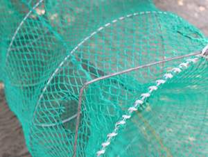 Jaula de pesca de alta calidad para caracoles y moluscos en áreas costeras 60*100CM con Red anudada - Product Image 6