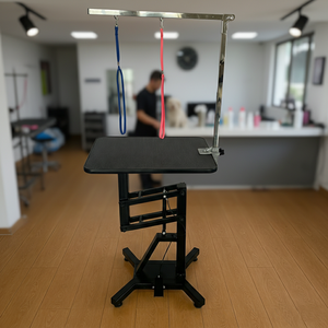 Toptan Fiyat Fabrikadan Doğrudan Pnömatik Kaldırma Özellikli Yeniden Kullanılabilir Çevre Dostu Paslanmaz Çelik Evcil Hayvan Köpek Bakım Masası (Evcil Hayvan Salonu İçin) - Product Image 2