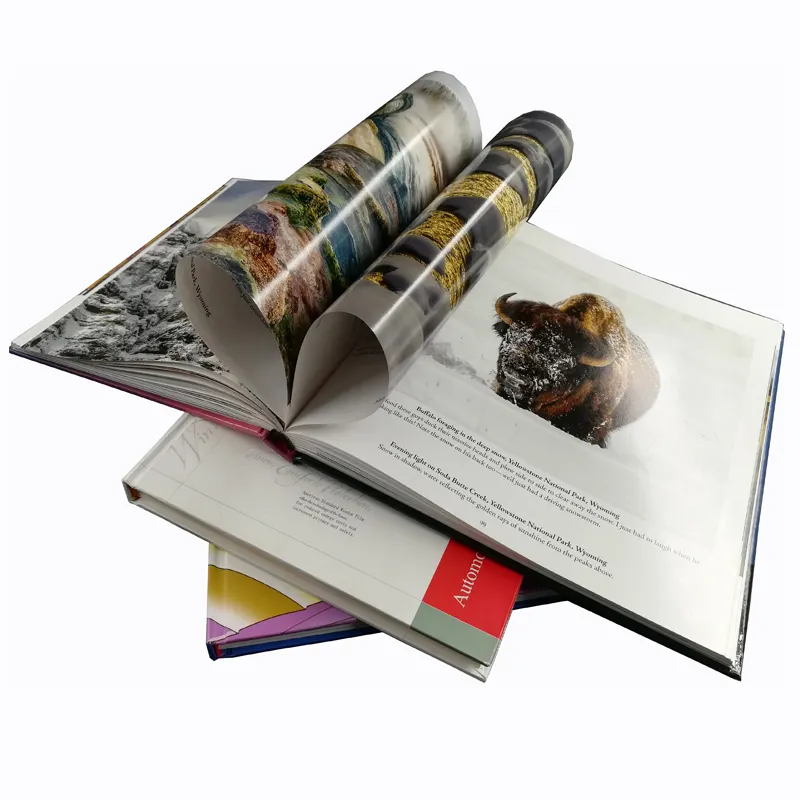 Magazine à impression personnalisée, impression décalée quotidienne, livret de brochures en papier recyclé