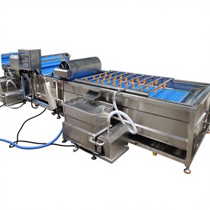 Máquina Industrial de Lavado de Verduras Tipo Cepillo para Pelar Cebollas - Product Image 6