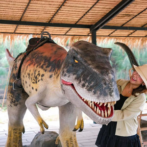 เครื่องเล่นไดโนเสาร์สำหรับเด็ก - Product Image 1