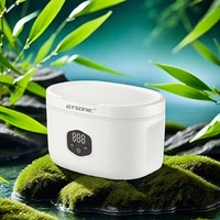 GT-F2 600ml 30W Pembersih Ultrasonik Elektrik 43kHz Penyangga Jam Tangan Dudukan Kacamata Kontrol Digital SUS304 Baja Tahan Karat Rumah Tangga