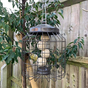 Petdom Suet Fat Ball Feeder Mangeoire à oiseaux résistante aux écureuils de grande taille pour jardin extérieur Cage en métal galvanisé solide - Product Image 2