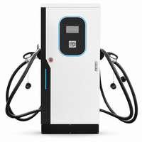 Station de recharge DC pour véhicules électriques sur pied 60kW 80kW 120kW 240kW CCS IP55 RFID Intelligente