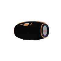Haut-parleur sans fil portable 30W, batterie amovible, haut-parleur extérieur, prise en charge AUX, LED, USB, lecteur audio TF
