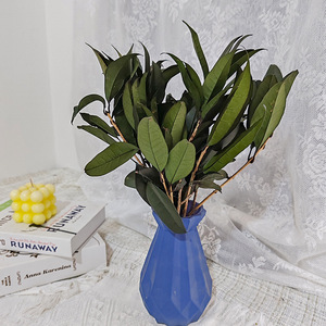10 tiges stabilisées feuilles <span class=keywords><strong>de</strong></span> <span class=keywords><strong>laurier</strong></span> vert plantes <span class=keywords><strong>tige</strong></span> feuille d'osmanthus lycée remise des diplômes fabrication <span class=keywords><strong>de</strong></span> couronne <span class=keywords><strong>de</strong></span> <span class=keywords><strong>laurier</strong></span> - Product Image 4