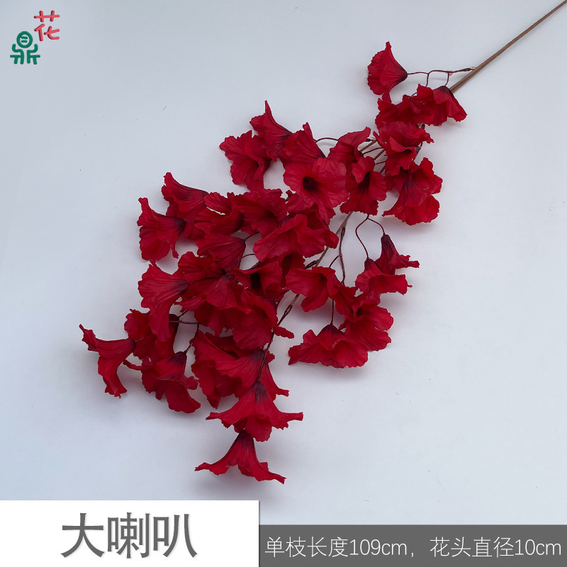 Big Horn HN Rouge