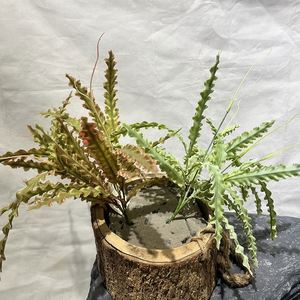 EG-J237 Décoration de porte <span class=keywords><strong>en</strong></span> <span class=keywords><strong>pot</strong></span> Bouquet de plantes artificielles Faux fleur Plante verte Fougère - Product Image 5