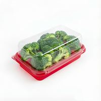 Conteneur à salade de fruits en plastique de qualité alimentaire personnalisé, boîte rectangulaire transparente, logo personnalisé pour pizza, sushi, sucre, cerise, tomate, raisin