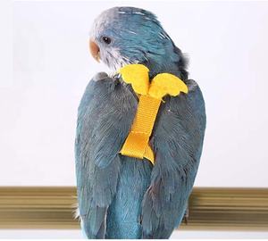 सस्ते मिनी छोटे Budgies कॉकटेल एविएटर तोता दोहन पक्षी उड़ान रस्सी प्रशिक्षण ब्रिटेन ऑस्ट्रेलिया कनाडा Ebay - Product Image 2