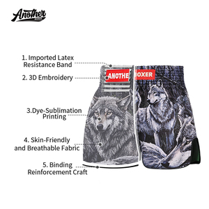 Factory Wholesale <strong>Sewing</strong> <strong>Pattern</strong> New Design Custom Women Muay <strong>Thai</strong> <strong>Boxing</strong> <strong>Shorts</strong> - Product Image 2