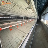 Système de cages à poulets de type H industriel, alimentation et abreuvement automatiques, élimination du fumier, équipement d'élevage avicole