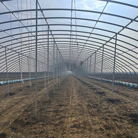Séchoir agricole solaire à simple travée avec film PE pour le séchage des bananes