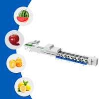 Easyweigh YOS-M Industriële Fruit- en Groenteverwerkings-transportband Optische Sorteermachine AI Visuele Herkenning Hoge Snelheid