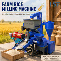 Équipement de rizerie : Petite machine à décortiquer et blanchir le riz paddy pour le traitement agricole, les petites rizeries et l'usage commercial