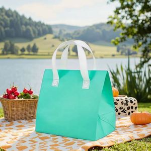 Non-Woven Waterproof Insulated Cooler Bag with Aluminum Film and Zipper Closure for Fresh Food Takeaway - Product Image 3