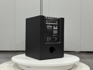 Système de haut-parleurs DJ avec impédance de 8ohm pour Bluetooth Neodymium Magnet Party Box pour une qualité sonore parfaite - Product Image 2