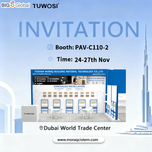 Bồn cầu âm tường MORAQ MQ101, hệ thống xả kép, chất liệu HDPE, dung tích 1.28 gallon, hình vuông - Product Image 2