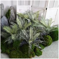 Plante Artificielle Faible MOQ Panneau Mural Luxe Autres Fleurs et Plantes Décoratives Créatives Fausses Décorations Auvent Fougères Artificielles