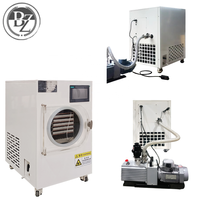 BZ4-6kg Automatische Pomp Vriesdroogapparaat Kleine Mini Huishoudelijke Lyofilisator Vacuümvriesdroger Energiebesparende Machine voor Voedsel, Fruit en Snoep