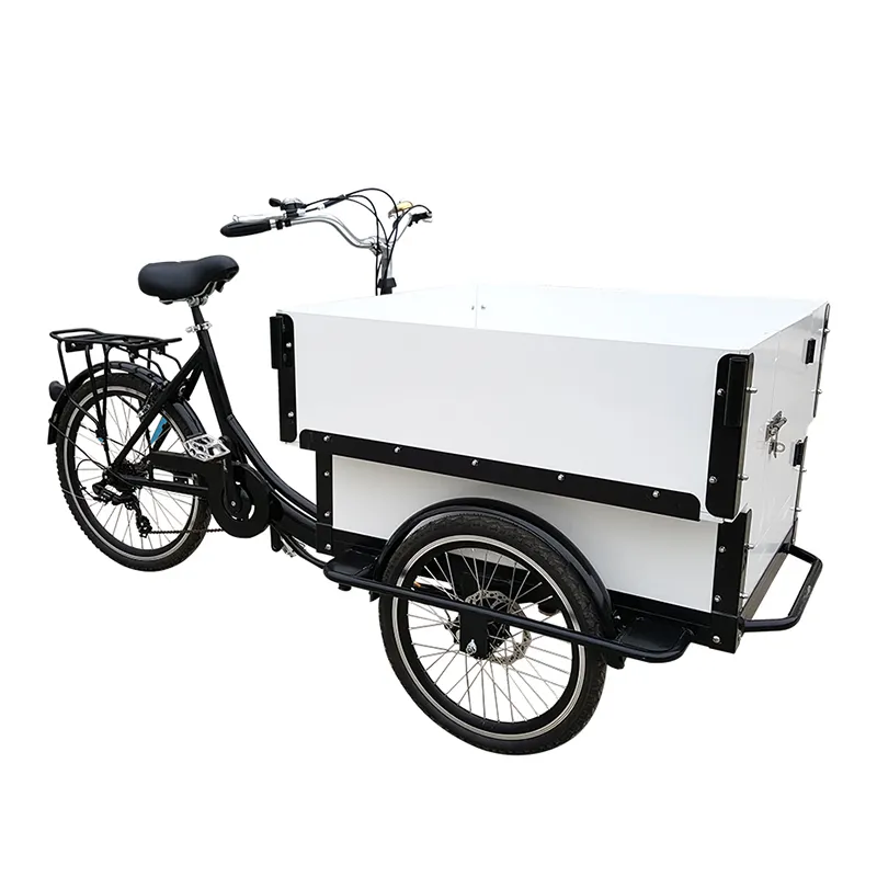 2023 New OEM Large Space Pedal Assisted Electric Cargo Urban Bike For Family