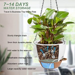 P472 <span class=keywords><strong>Pot</strong></span> de fleurs <span class=keywords><strong>suspendu</strong></span> moderne à niveau d'eau visible, auto-arrosant, pour orchidées, avec soucoupe et chaîne en fer, pour décoration intérieure et extérieure - Product Image 5