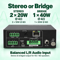 Mini amplificateur de puissance de classe D 40W, sortie stéréo en pont, entrée audio équilibrée, contrôle EQ RS232 TCPIP pour l'audio domestique
