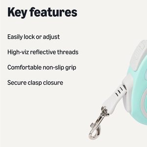 Factory Top Seller Custom Logo Led Light Pet <b>Dog</b> <b>Leash</b> Nylon Pet Accessories Automatic Led Retractable <b>Dog</b> <b>Leash</b> Wholesale - Product Image 3