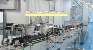 Imunidade Boosters <span class=keywords><strong>reishi</strong></span> cogumelo suplemento <span class=keywords><strong>Reishi</strong></span> cápsula - Product Image 4